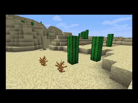 Minecraft Cactus - YouTube