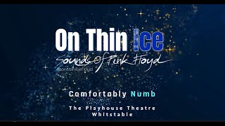 On Thin Ice - Comfortably Numb Cover Live 05/23