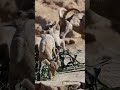 Little bighorns 🐑