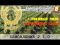 FS 19 - ЗОЛОТОЙ КОЛОС - ОБНОВЛЕНИЕ С РИСОМ И САДАМИ