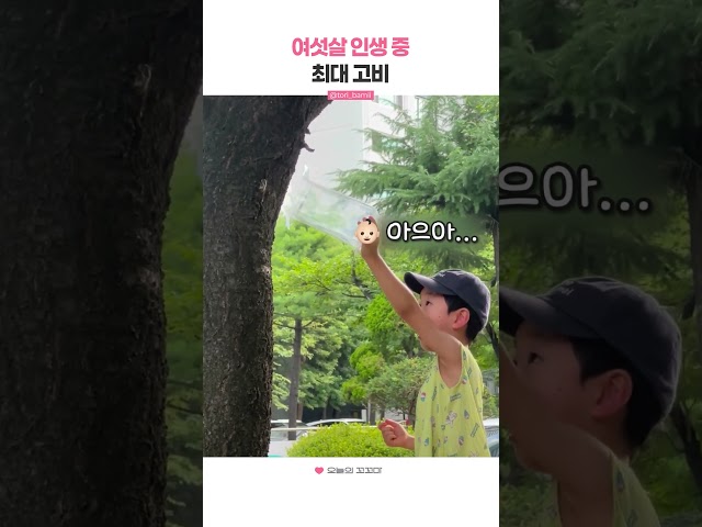 여섯살 인생 중 최대 고비