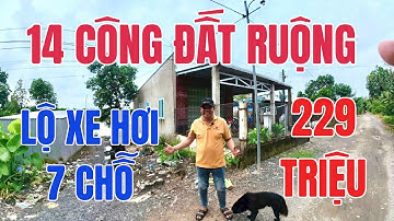 MS 10133 | 14 CÔNG đất ruộng lộ Ô TÔ 7 CHỖ có THỔ CƯ giá rẻ bất ngờ tại Vĩnh Long