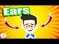Body Parts Learning Quiz