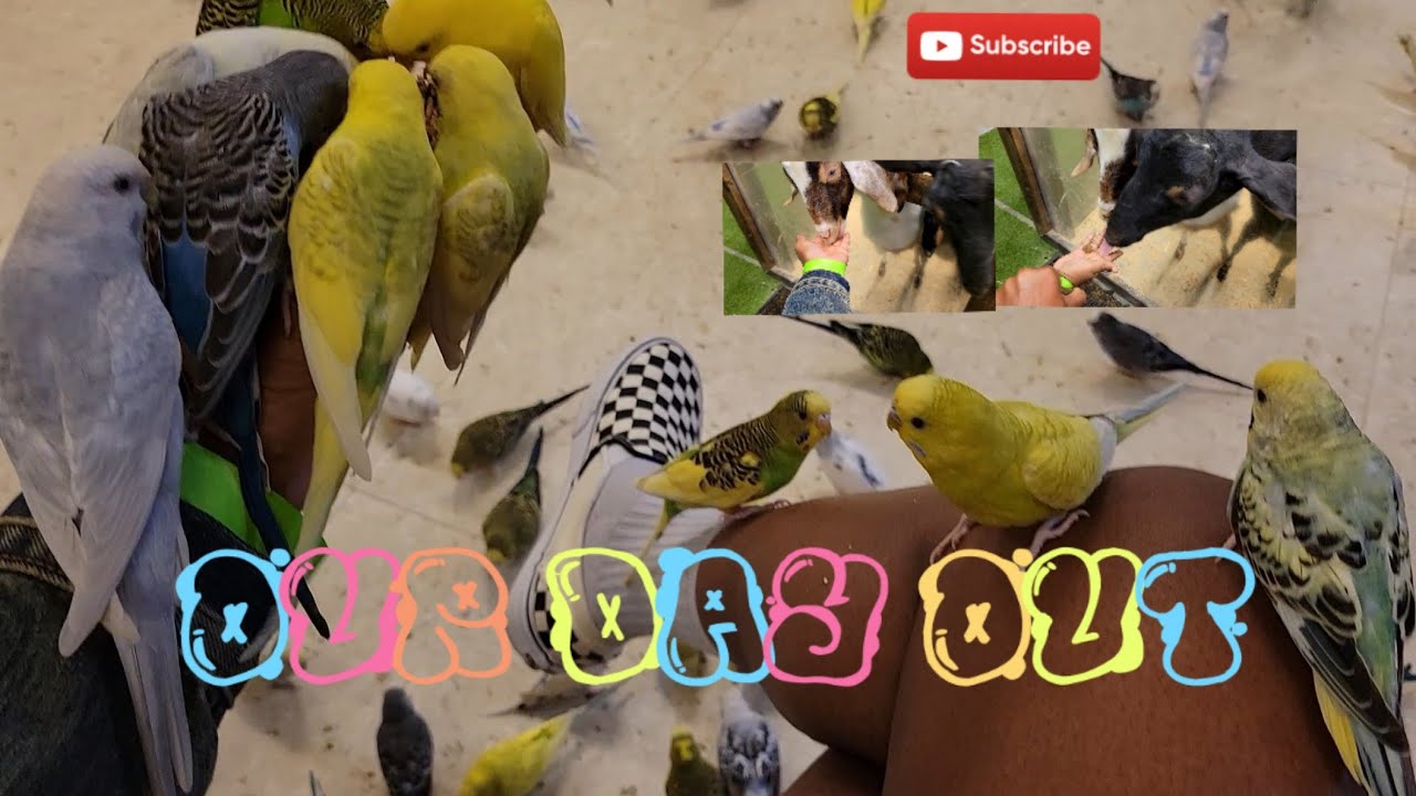 Mom & son day out 💙 SeaQuest & Round one @ Stonecrest Mall