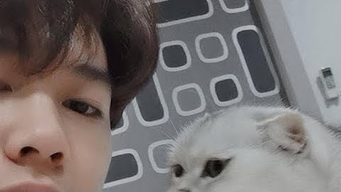 ￼Vietsub | lyrics🌷  [ฉลามชอบงับคุณ ] cá mập thích cắn em...🐋Shark likes to bite you🦈