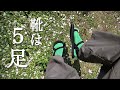 【靴選びと断捨離】もう迷わない、今年の全5足をご紹介。
