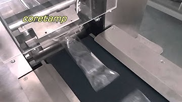 Automatic Flow Wrapping Machine with Auto Feeder