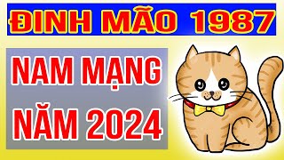 Xem Tử Vi Nam Mạng Tuổi Đinh Mão 1987 Năm 2024 Giáp Thìn