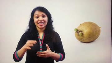 19/11/2020 class-5 Evs lesson-5 explanation