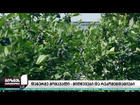 „დანერგე მომავალი“ - მიღწევები და რეკომენდაციები