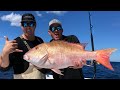*GIANT MUTTON SNAPPER* Catch Clean & Cook (Q&A)