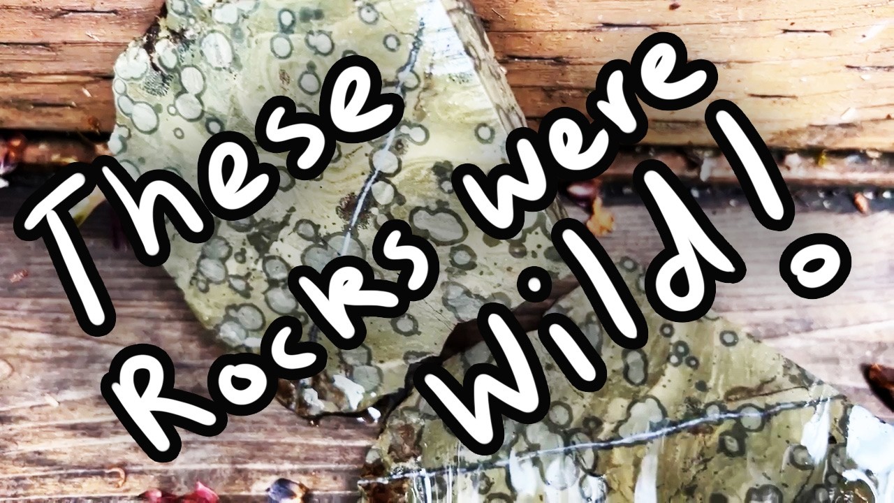 Slicing Rocks Cutting four rocks with orbicular patterns! (2 ARE STUNNING!) Igneous ...