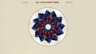 Aloe Blacc - All Love Everything (Official Audio Visualizer)