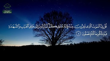 سورة الجمعة • مدنية • بصوت ياسر الدوسري | عدد الآيات: 11 #قرآن #Quran #تلاوة #قرآن_كريم #الجمعة