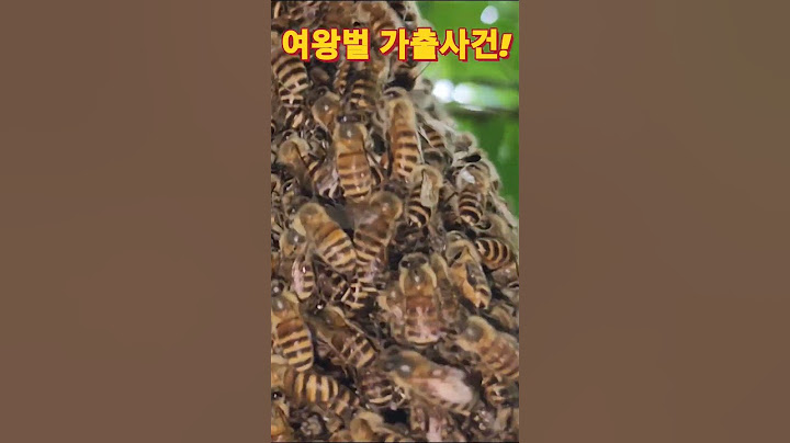 가출한 여왕벌 검거작전! #토종벌 #여왕벌