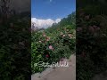 #Natural#love#cute#song#reels#viral#video#youtube#shorts#video#viral#offical Prachi vlogs
