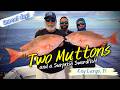 A 300lb SWORDFISH Jumped Behind Our Boat Jumbo Muttons 