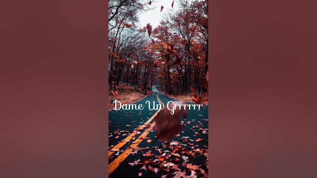 Fantomel x @KateLinnOfficial Dame Un Grrr (Official Video)) Fantomel x @KateLinnOfficial Dame Un Grrr (Official Video))