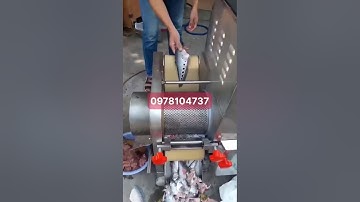 máy ép cá thác lác, máy tách xương cá sông cá biển làm chả cá, máy ép cá tự động bằng inox CR300