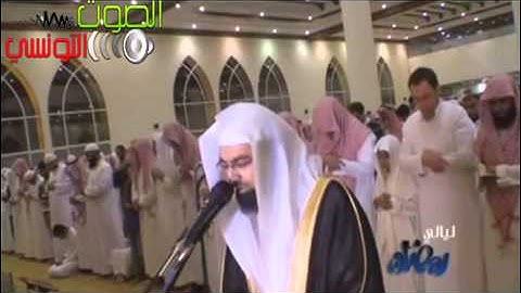 تلاوة جديدة وجاء ربك والملك صفا صفا أبداعية وخالقكم لـ ناصر القطامي