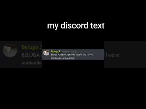 discord beluga