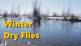 Winter Dry Flies on the Middle Provo - MIDGES, MIDGES, and MIDGES!!!