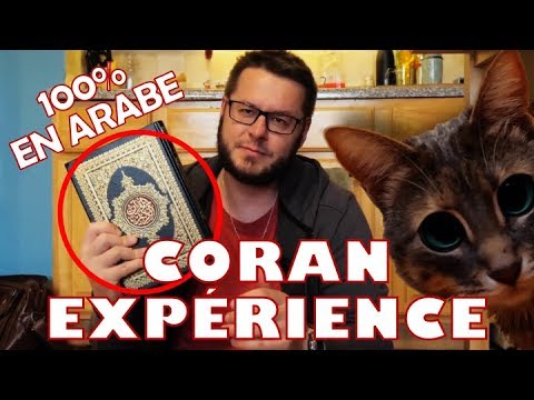 [CORAN 100% EN ARABE] EXPÉRIENCE N°2 - Les chats marchent sur le Coran? - David Wood en francais