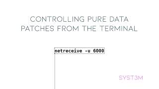 Controlling Pure Data from the terminal.