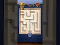 Bombardier Beetle vs Centipede Maze Race | Epic Solo Battle