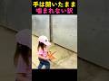 手は開いたまま — 馬に噛まれない訳のサムネイル