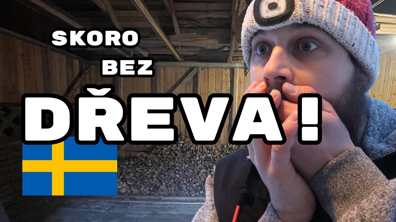 Došlo mi dřevo uprostřed švédské zimy! Kolik mě to stálo 🇸🇪 🏠