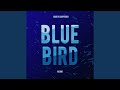 Blue Bird From Naruto Shippuden Blue Bird From Naruto Shippuden