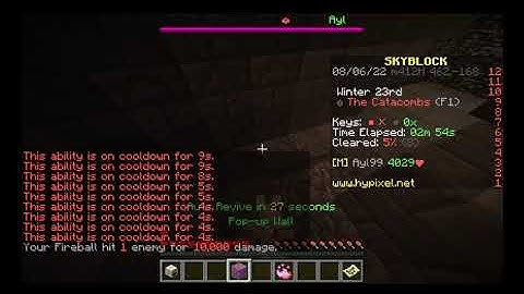 Hypixel Skyblock Dungeons Bug