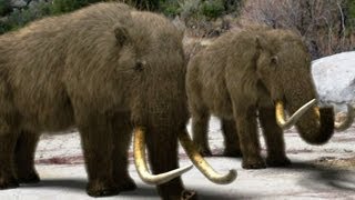 Mammoths Hunted for their Hides