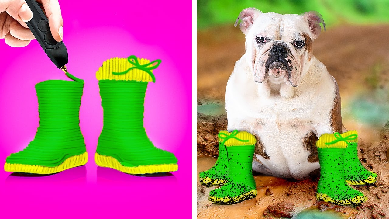 amazing-hacks-for-pet-owners-smart-and-easy-pet-tricks-by-123-go