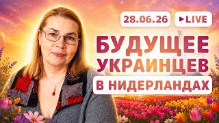 Будущее украинцев в Нидерландах | Вышло обновление о планах правительства