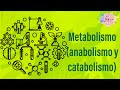 Metabolismo (anabolismo y catabolismo)