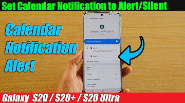 Galaxy S20/S20+: How to Set Calendar Notification to Alert/Silent