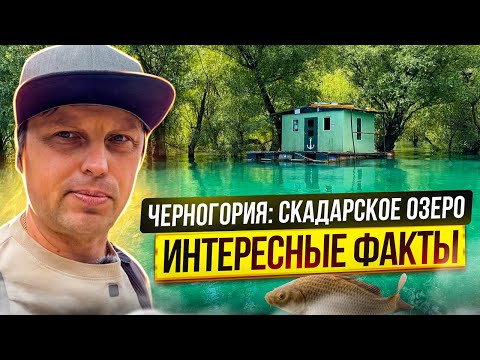 Черногория Скадарское Озеро: Рыбацкая деревня, экскурсия и интересные факты.
