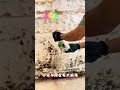 清除墙面上的霉菌如此简单-DIY