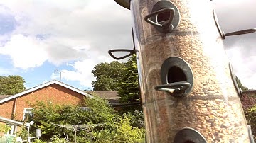 Second Time lapse with a Raspberry Pi