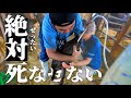 ベテラン獣医師が伝えたい子牛を救う授乳法