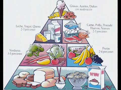 la piramide alimenticia