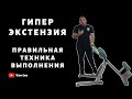 ГИПЕРЭКСТЕНИЗИЯ! ПРАВИЛЬНАЯ ТЕХНИКА ВЫПОЛНЕНИЯ!