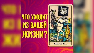 видео: 🌸Чувствуешь изменения в себе? Послушай это❗️ картинка: 🌸Чувствуешь изменения в себе? Послушай это❗️