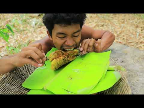 survival in the rainforest - CACAO BEES BABY GAOAT