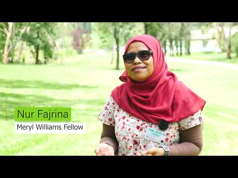 Meryl Williams Fellowship