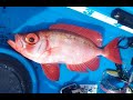 Red Bigeye on the kayak