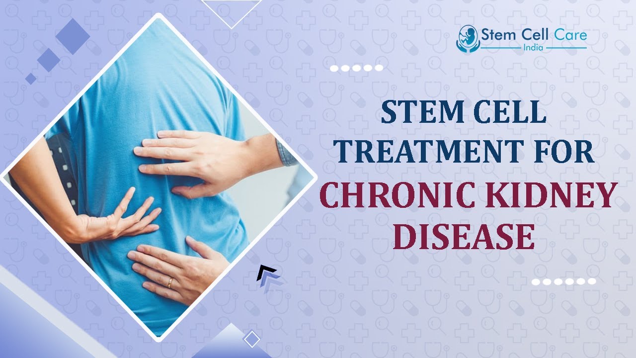 Chronic Kidney Disease | Stem Cell Therapy For Chronic Kidney Disease ...
