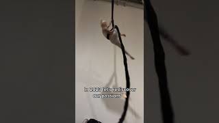 Been Wanting To Get Back To This For So Long